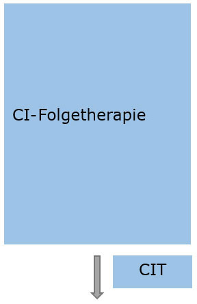 Alternative 2 - Ihr Weg zum Hören mit CI